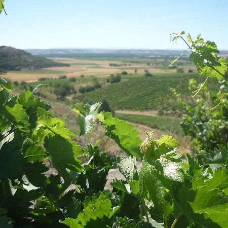 La Cantamora Hotel Rural Pesquera De Duero Kültér fotó