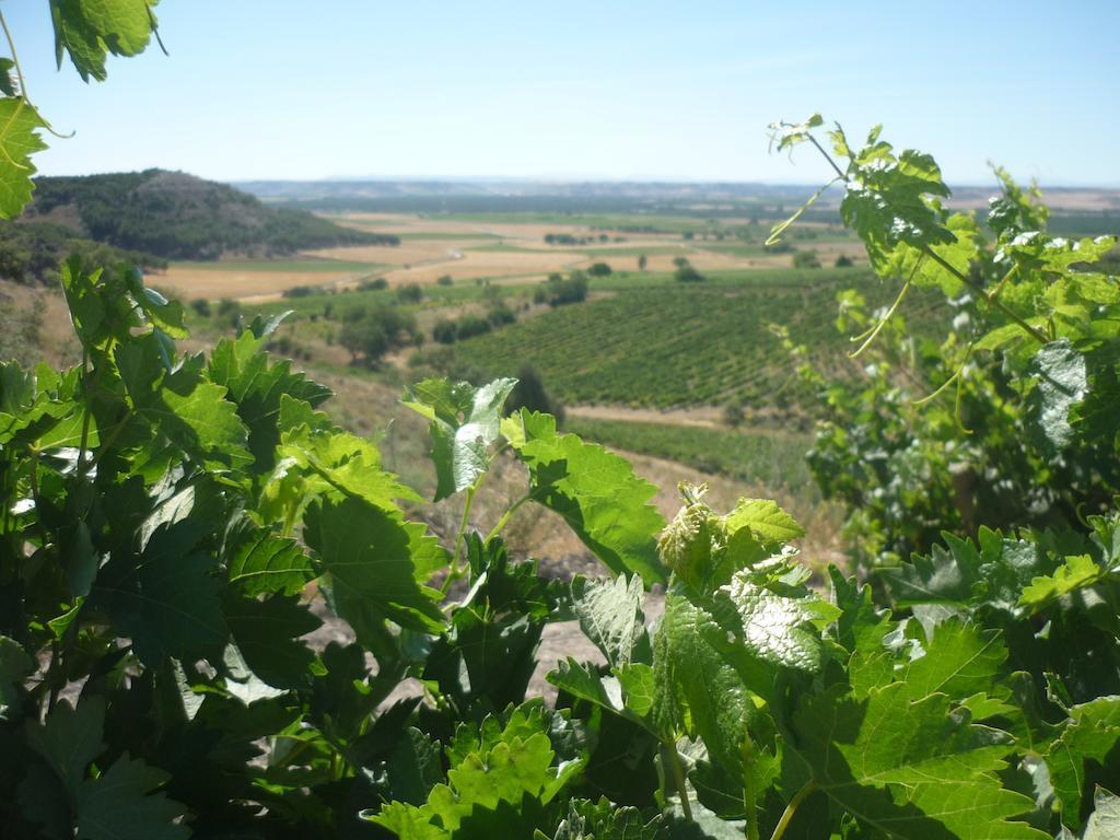 La Cantamora Hotel Rural Pesquera De Duero Kültér fotó